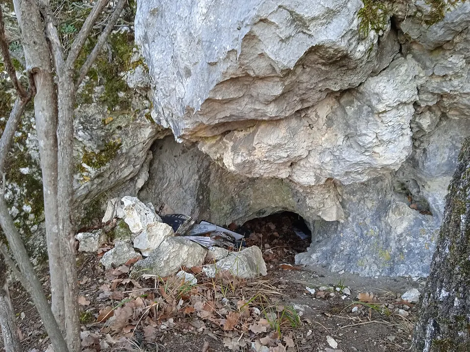 Margitliget köteles-fülke
