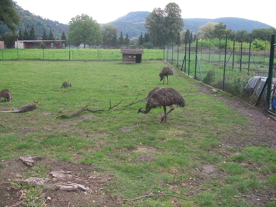 Minizoo Žiar nad Hronom