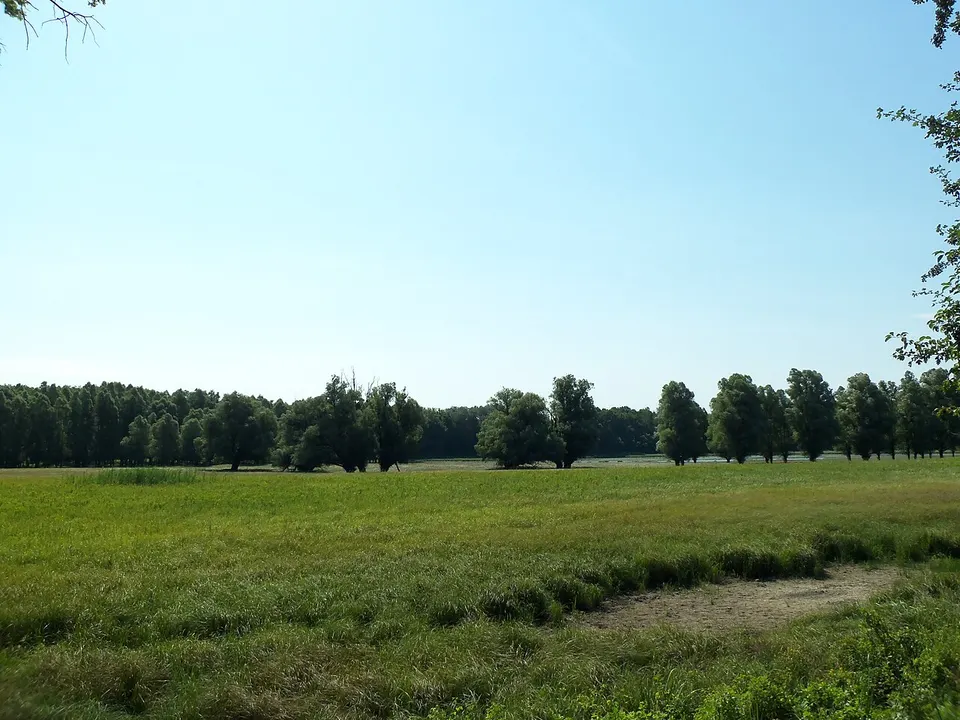 Malomtelelő tavi kilátó