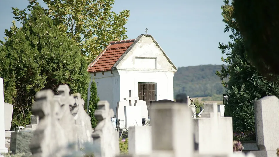 Kilátás a szőlődombokra