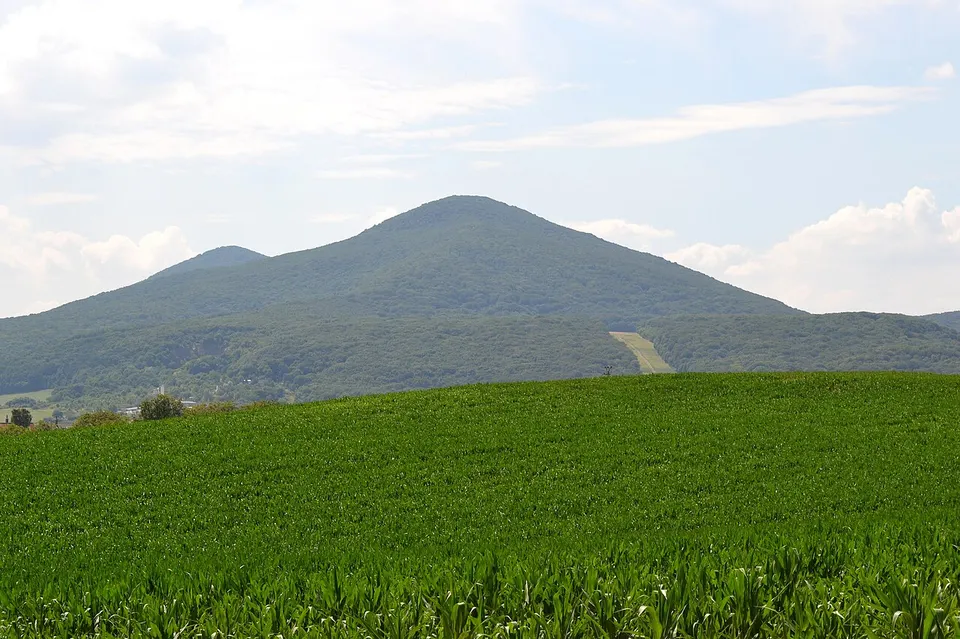 Kaštieľ Alfonz