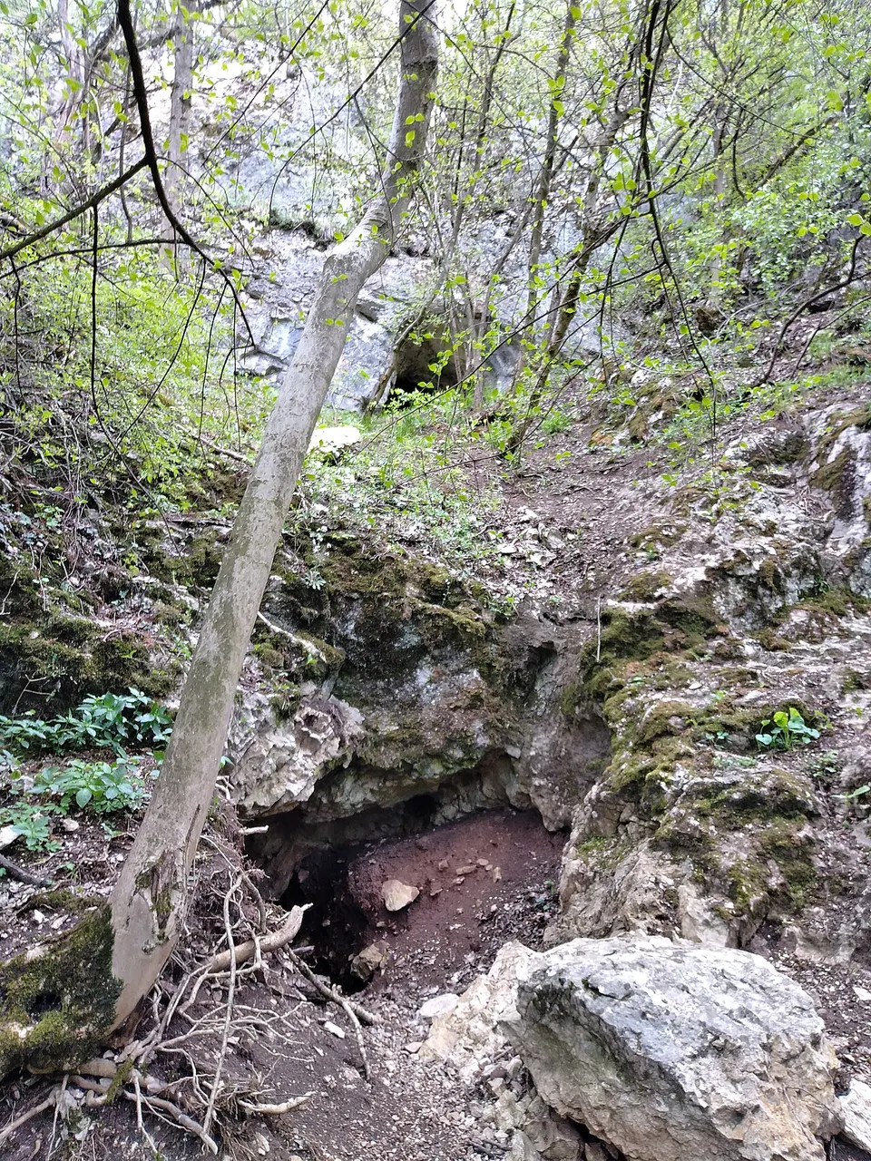 Bajóti Lepkés-barlang