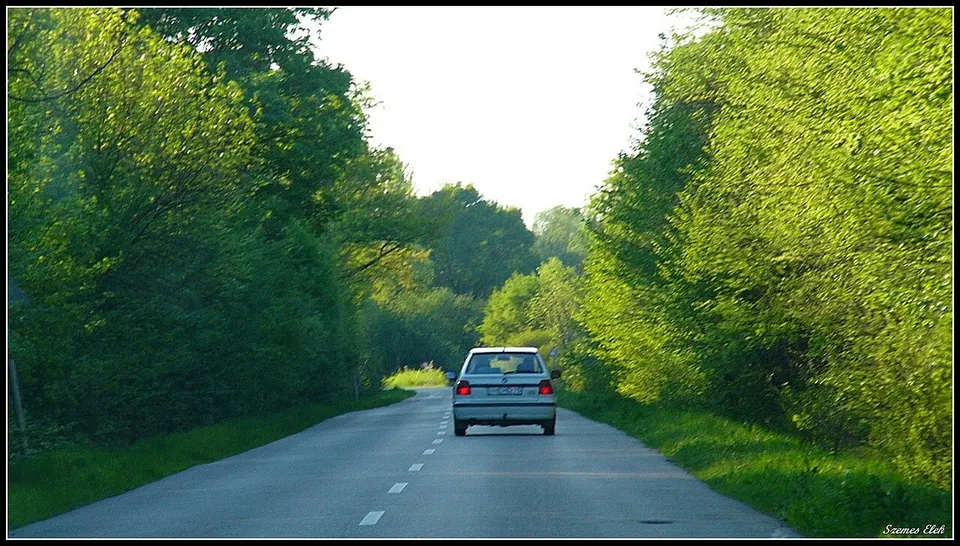 Kalodási kilátó