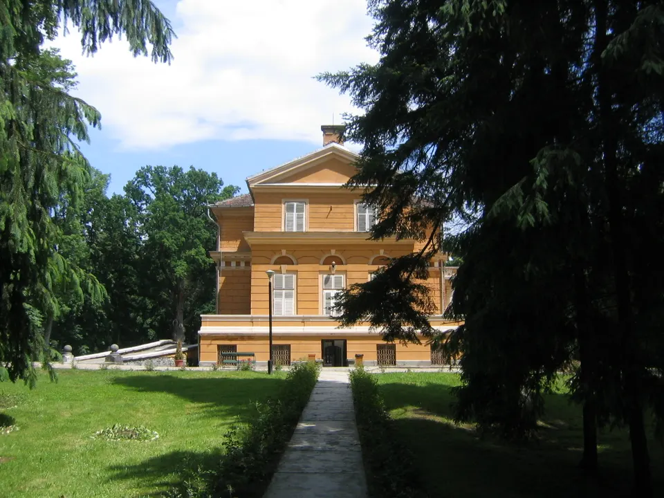 Castelul regal de la Săvârșin