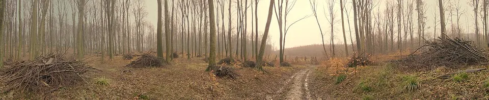 Károlyházi-nyelő barlangja