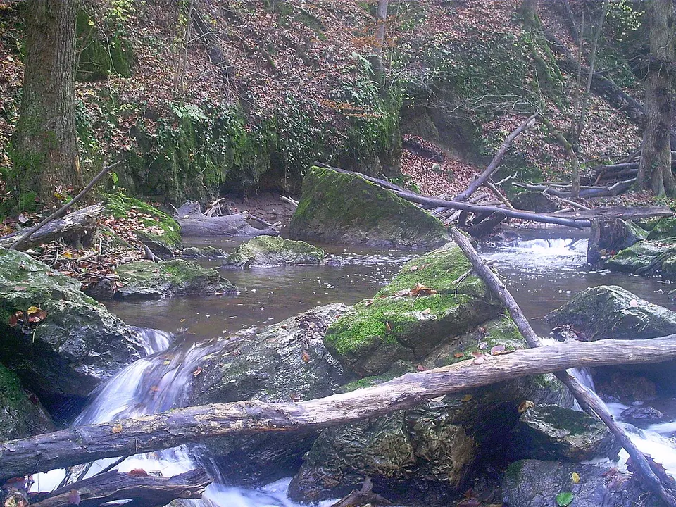 Alsó-Cuha-völgyi 1. sz. üreg