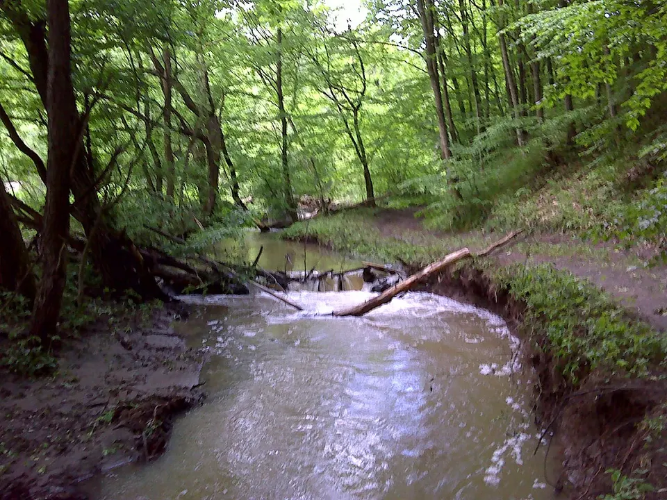 Törökmező Turistaház és Kis-Állatpark