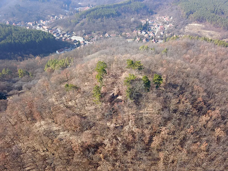 Cserépvár romjai