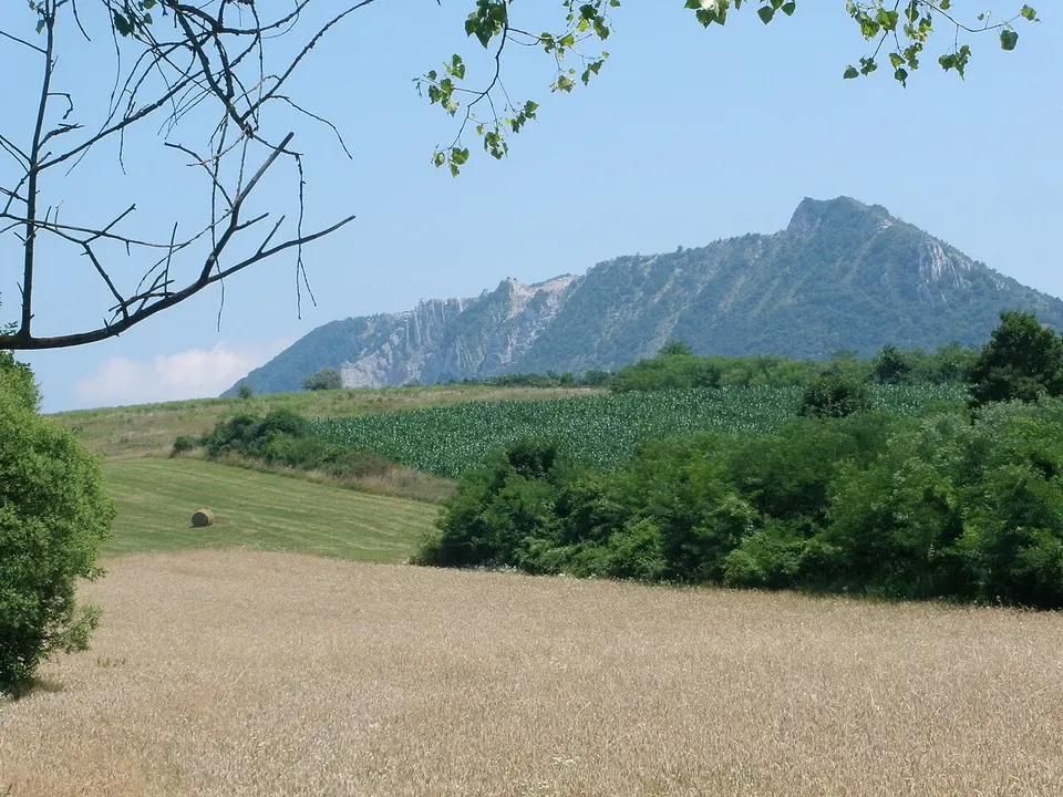 Szabó-kúria