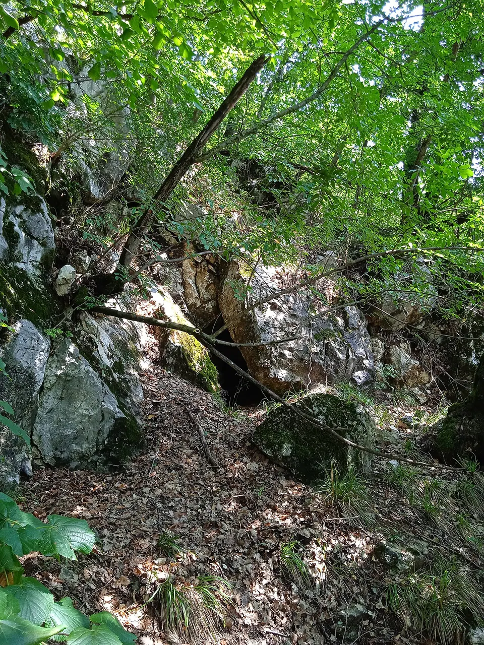 Remete-hegyi 11. sz. barlang