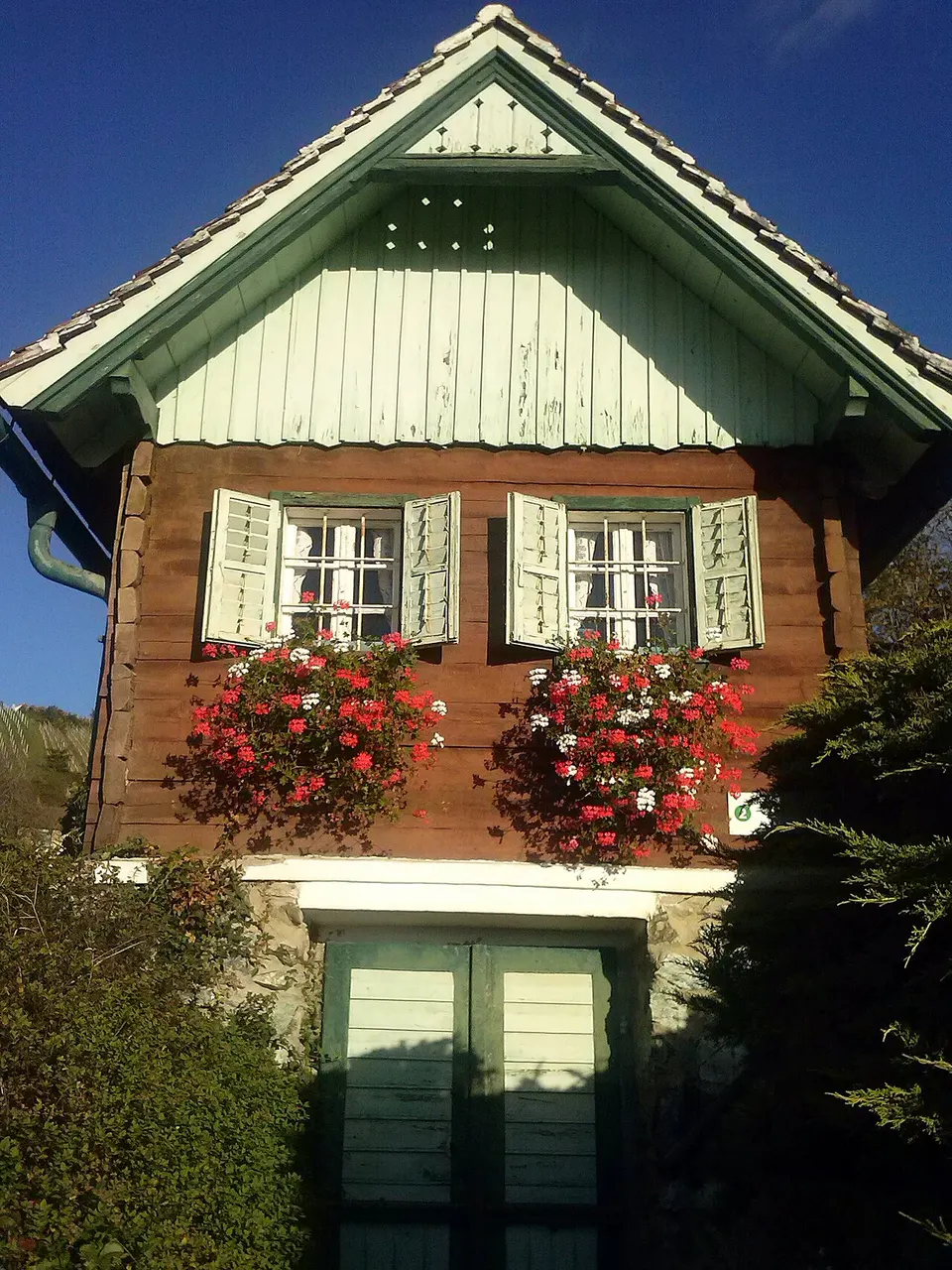 Weinblick Aussichtsplattform