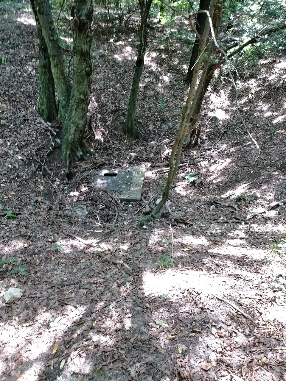 Tatabányai Bányász-barlang
