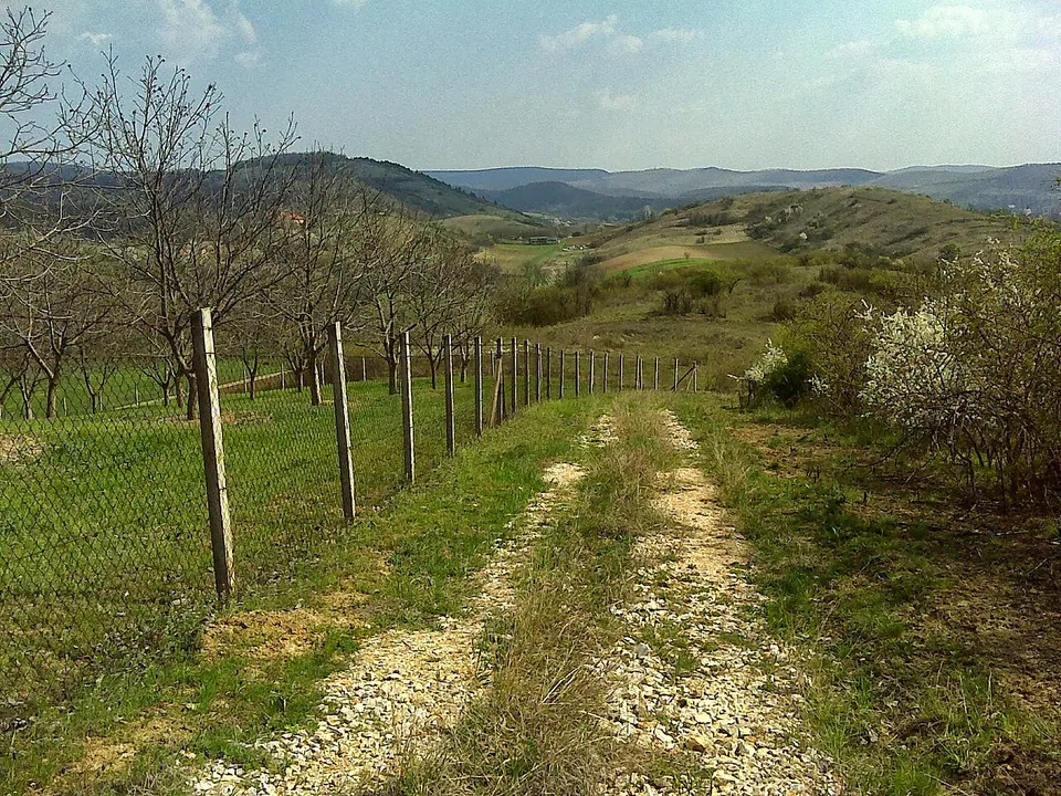 Állatfarm, Lókút