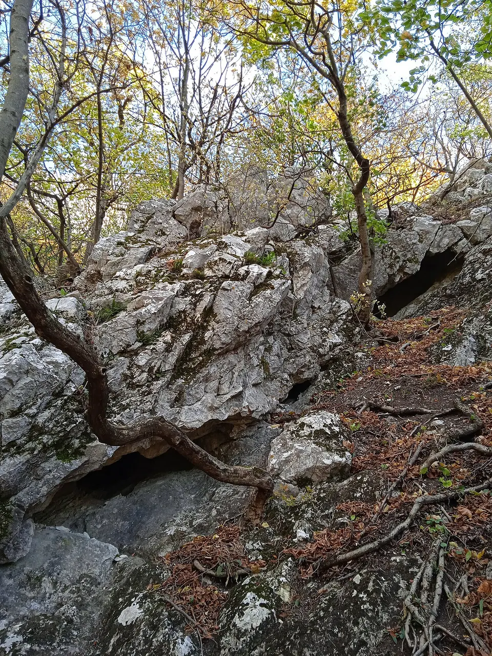Csévi-barlang