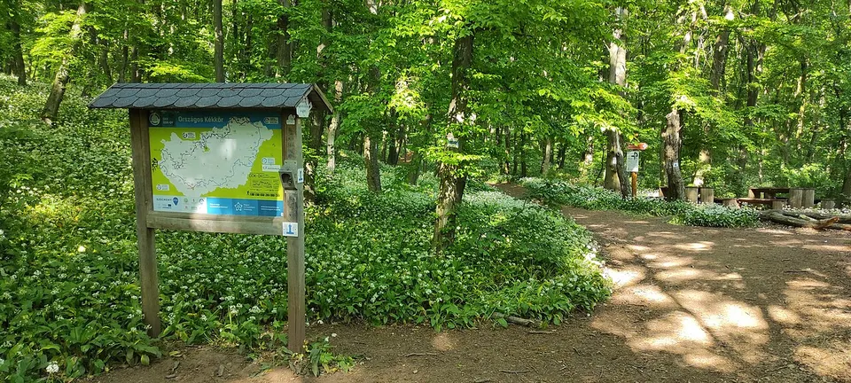 Zsongor-kő