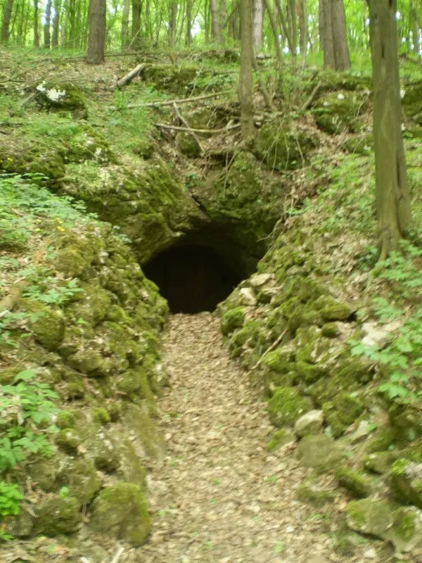 Kaszás-kúti-visszafolyó