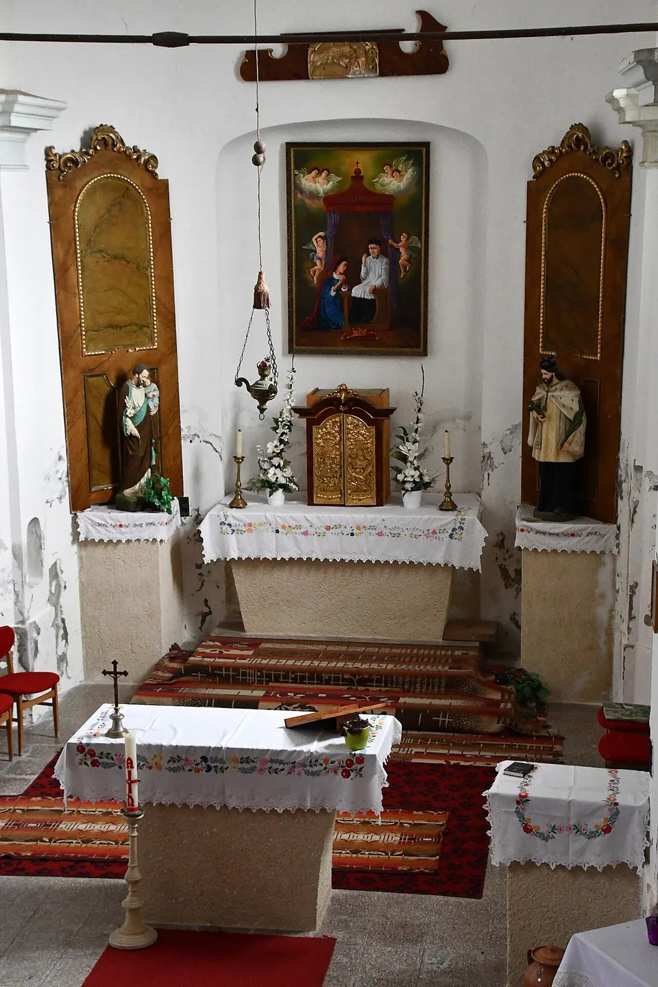 Kaktusz gyűjtemény