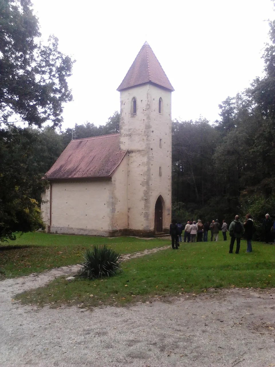 Sárgaliliom tanösvény