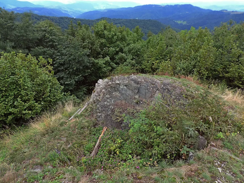 Farárova hôrka