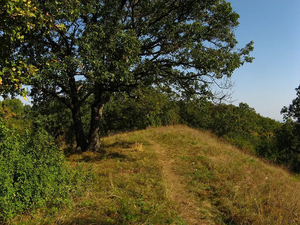 Jancsivár (földvár)