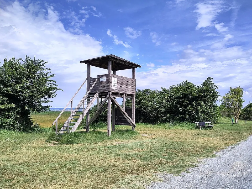Aussichtsturm Zitzmannsdorfer Wiesen