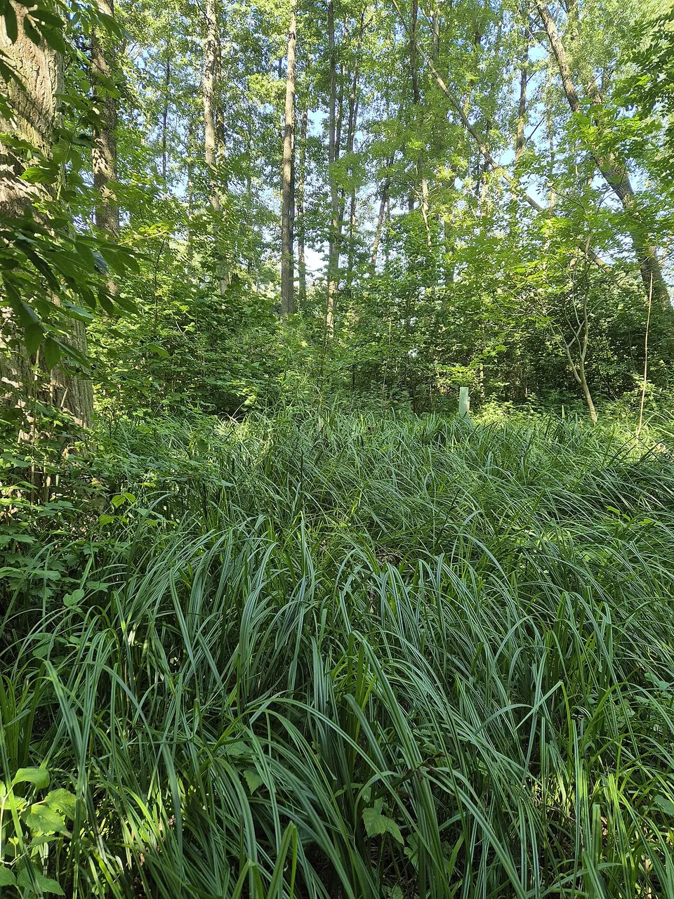 Reitanlage Leiserberge