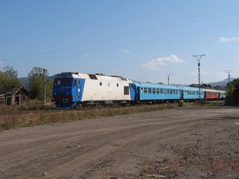 Mocănița Brad-Crișcior