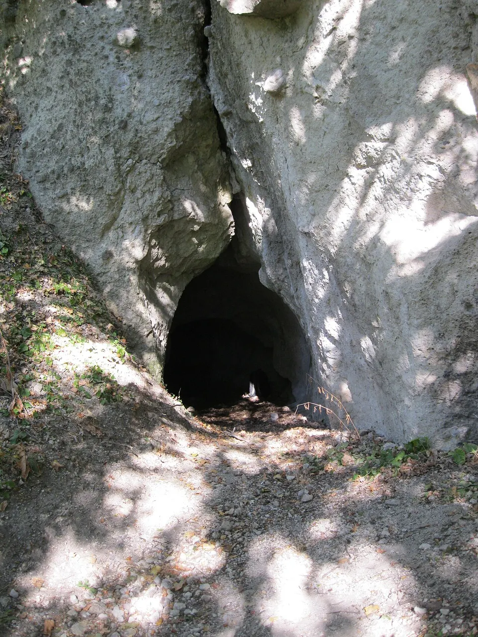 Sas-kői-hasadékbarlang