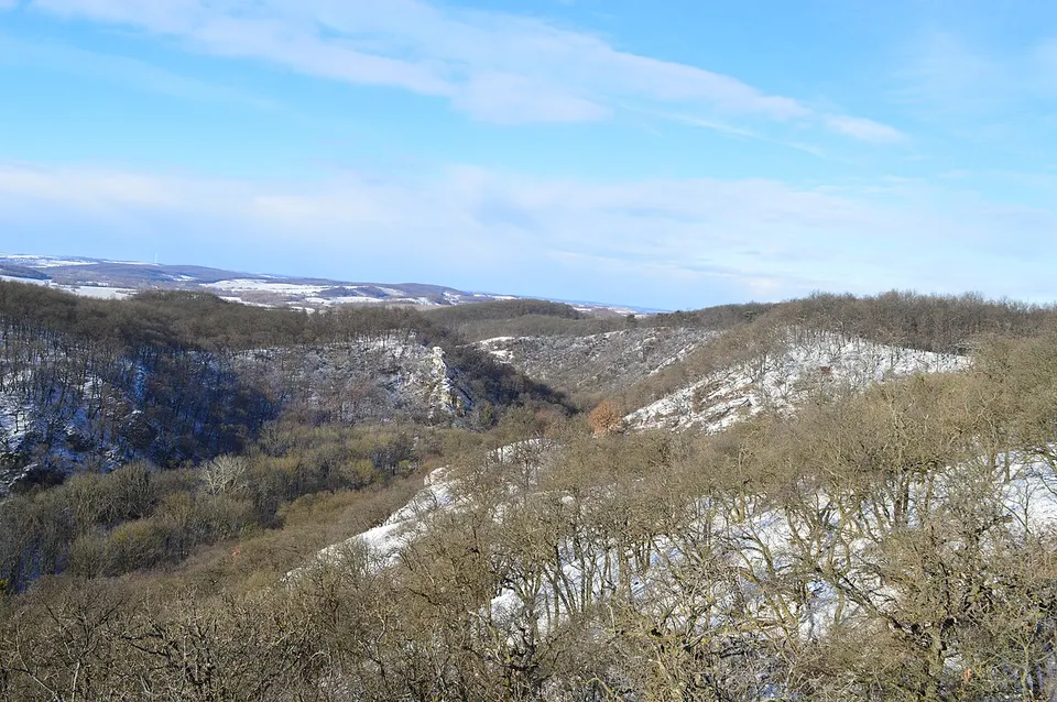 Károlyi-kilátó