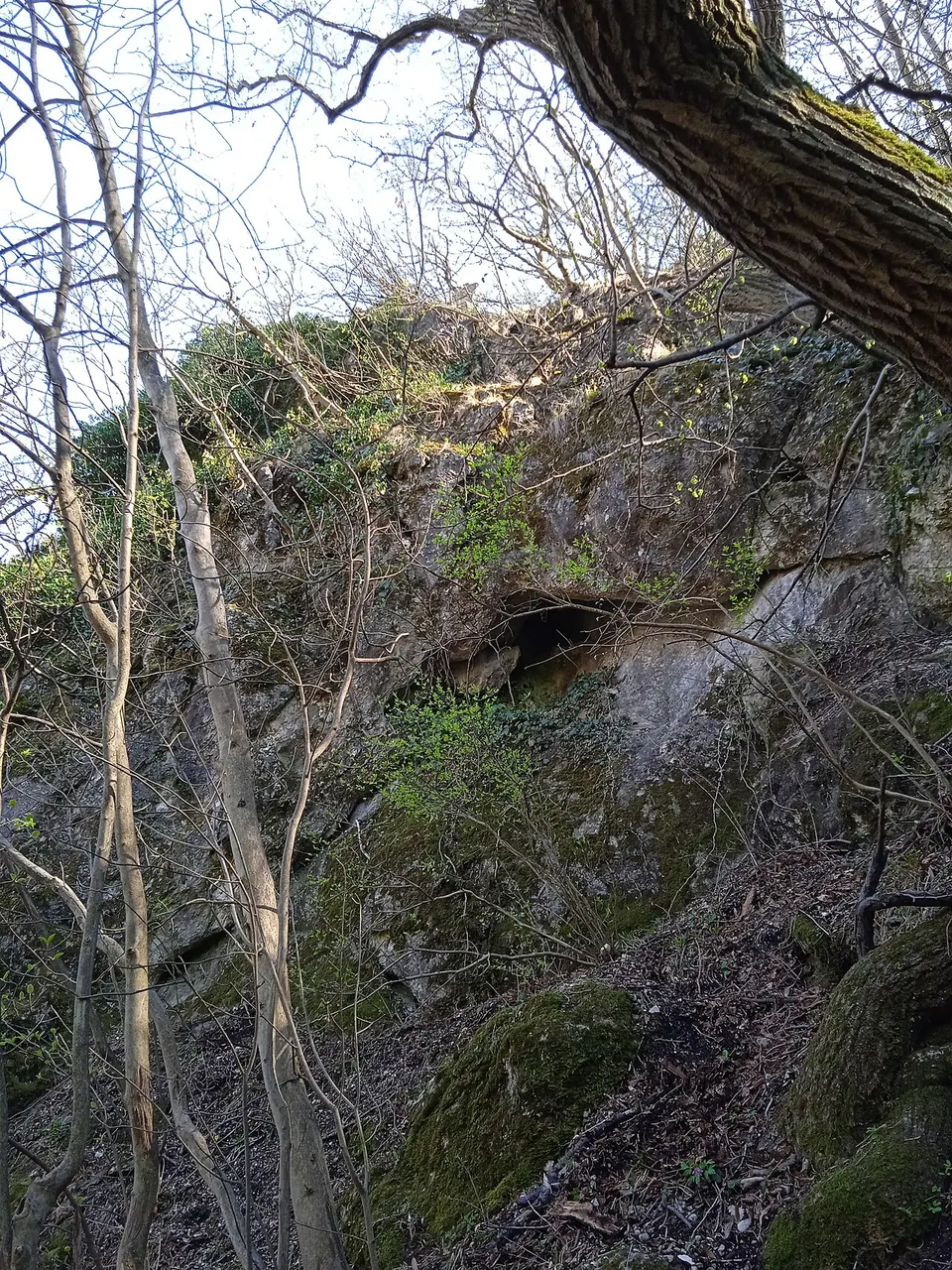 Kő-lik