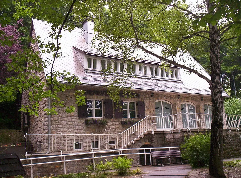 Denevérmúzeum