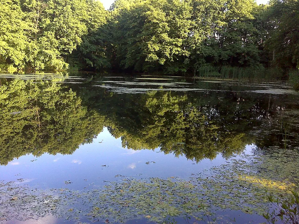 Nyírjesi Füvészkert és Vadaspark