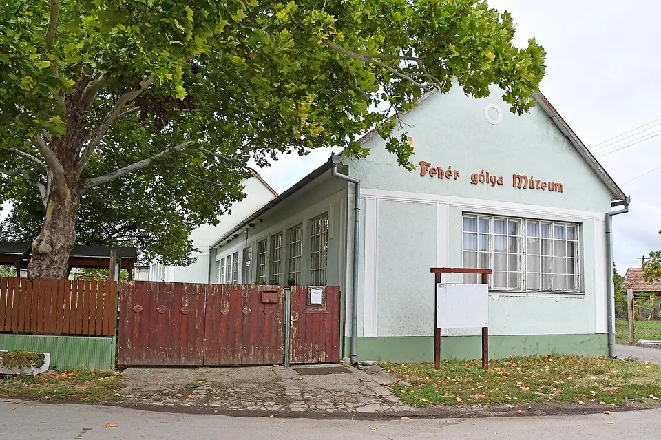 Fehér Gólya Múzeum