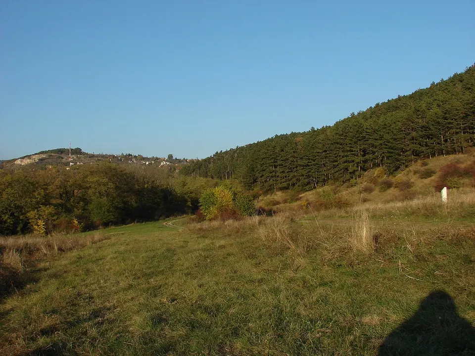 Pátyi-barlang