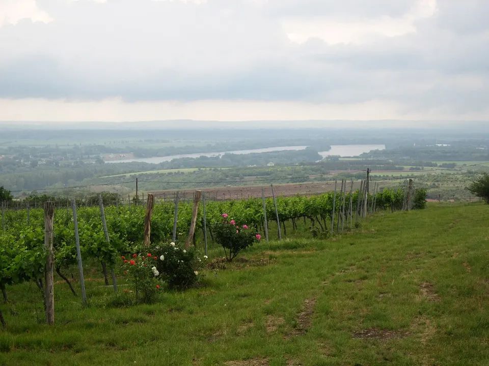 Hilltop kilátó