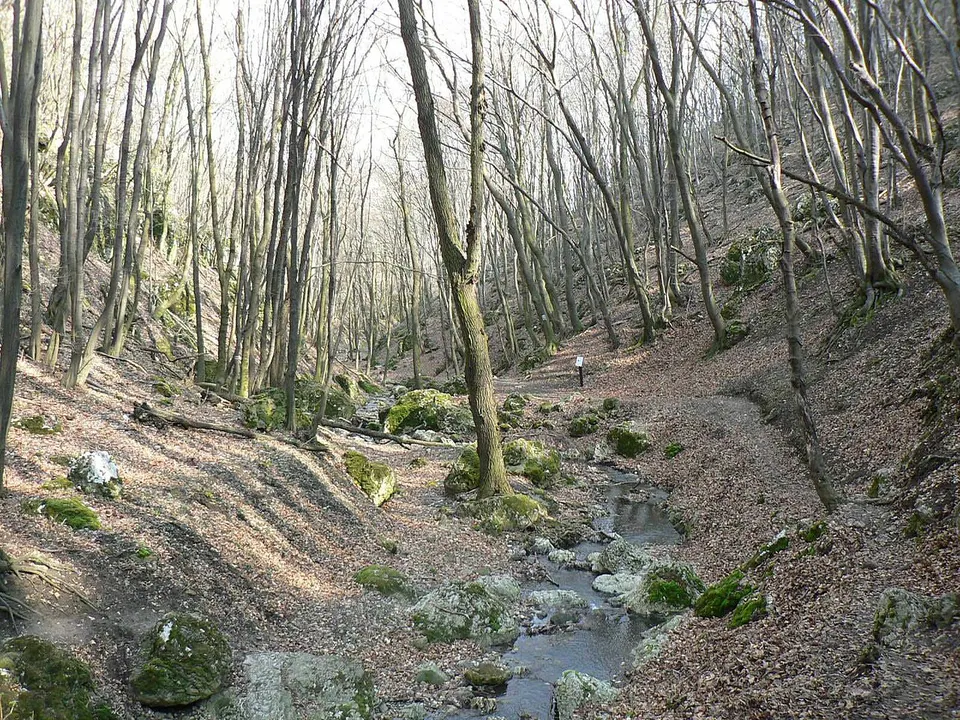Dera-szurdok