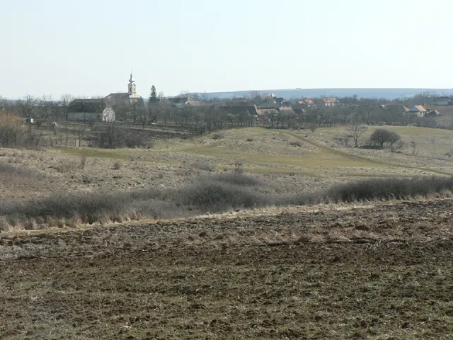 Herneacova