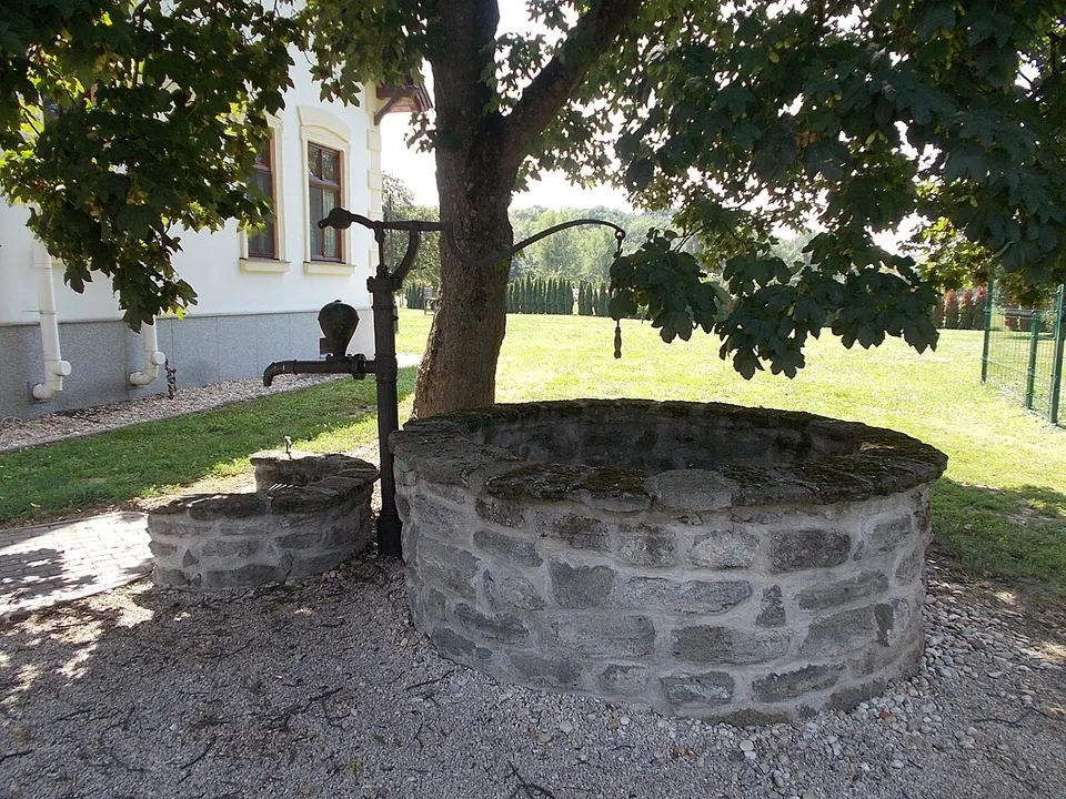 Vadkert Major Állatsimogató