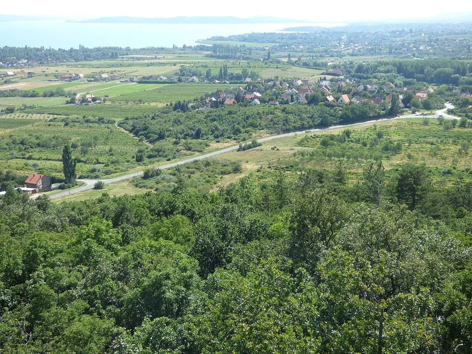 Somlyó-hegyi kilátó