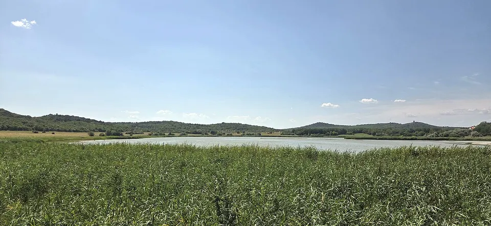 Lavender Tihany Látványközpont