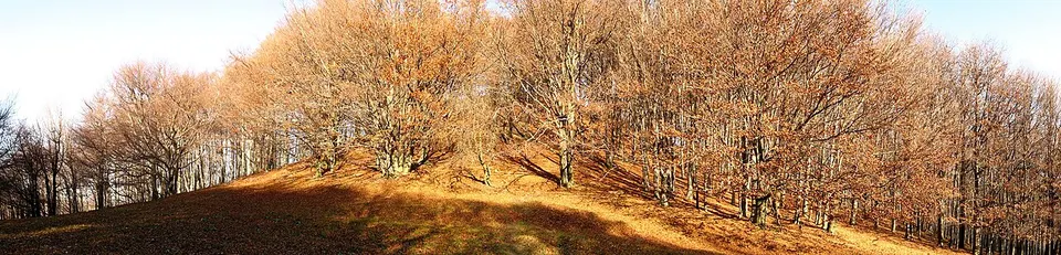 Pogányvár (földvár)
