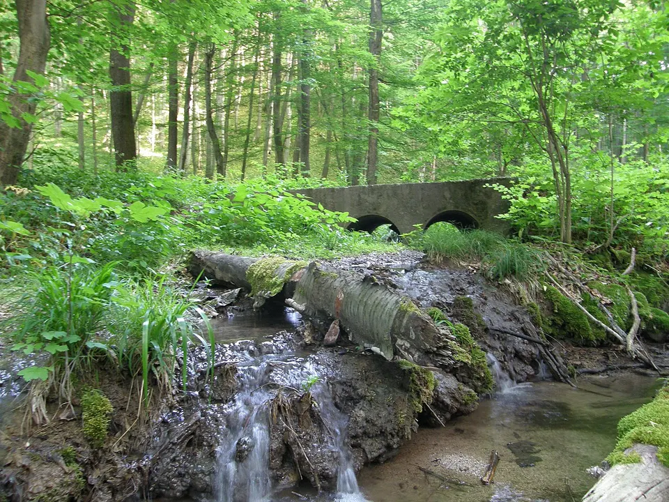 Melegmányi-forrásbarlang