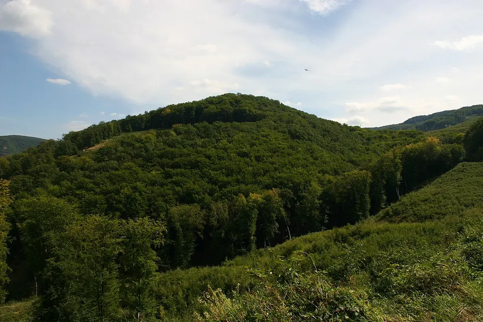 Árpádvár
